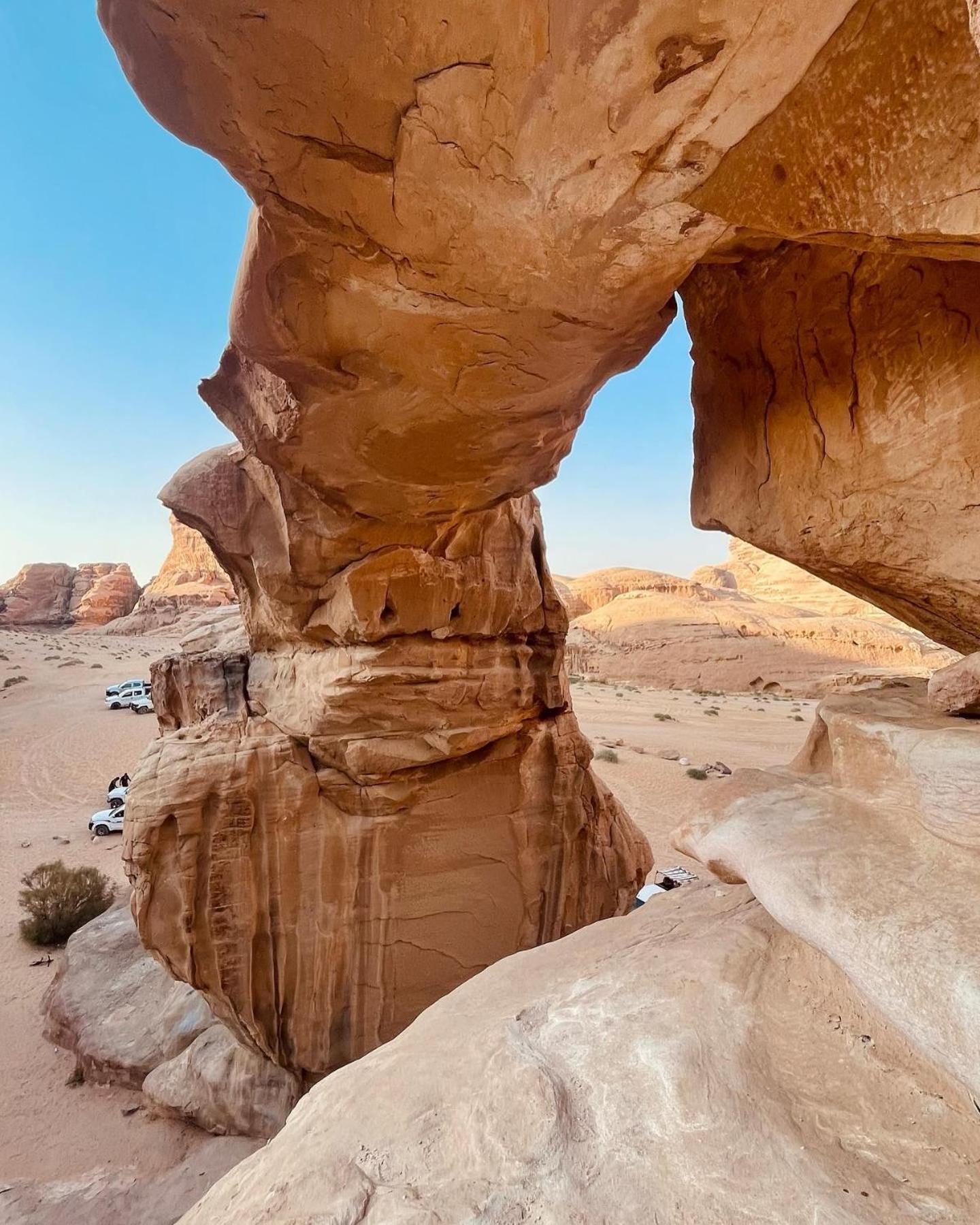 Flower Life Camp Wadi Rum Eksteriør billede